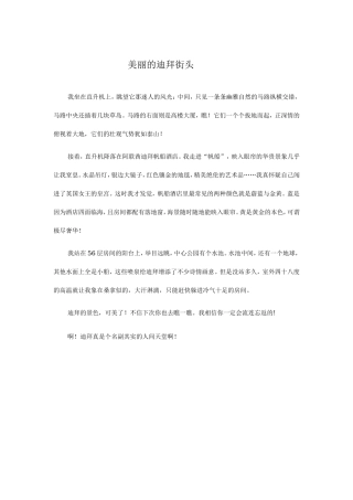 美丽的迪拜街头
