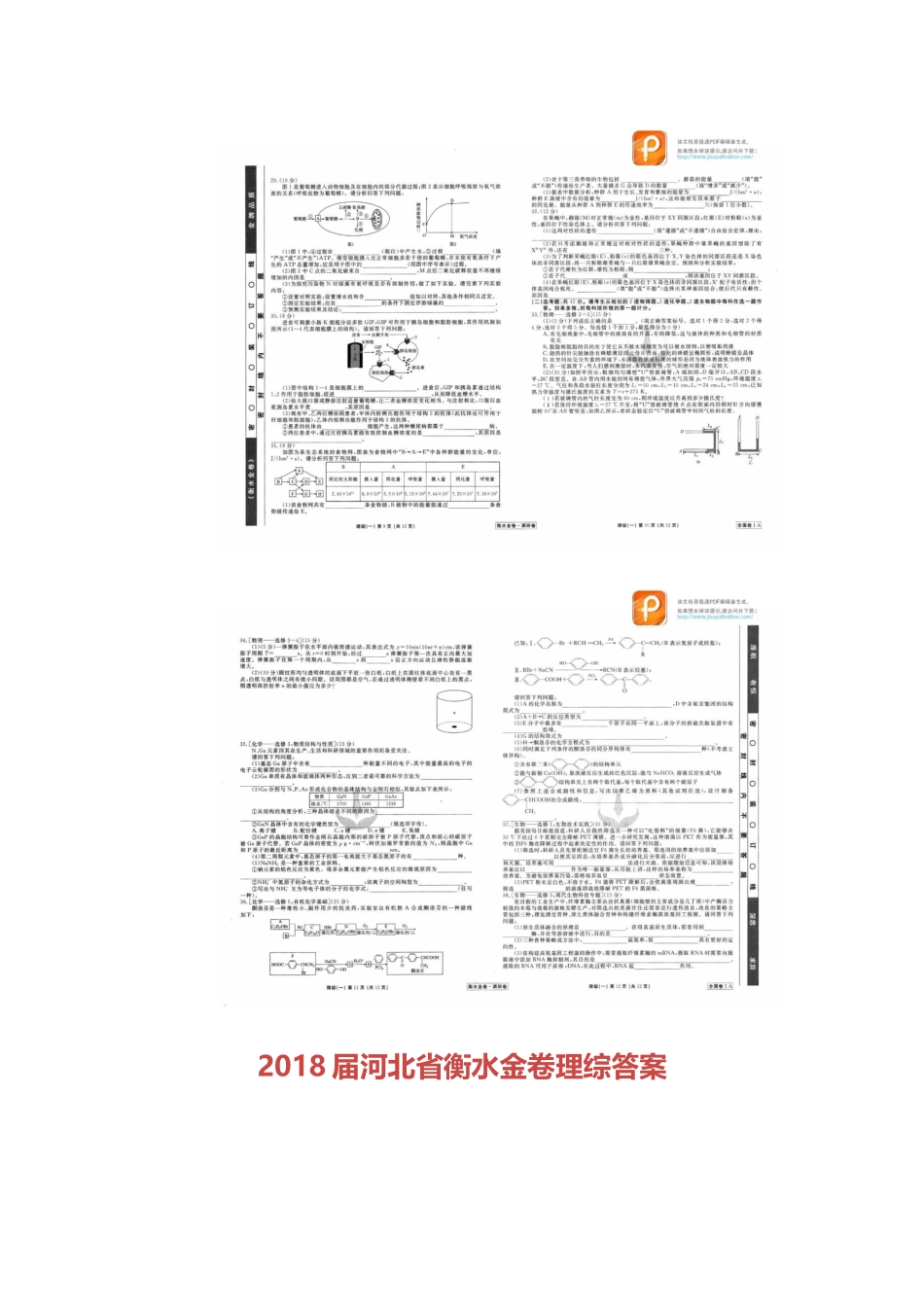 2018届河北省衡水金卷理综答案_第3页