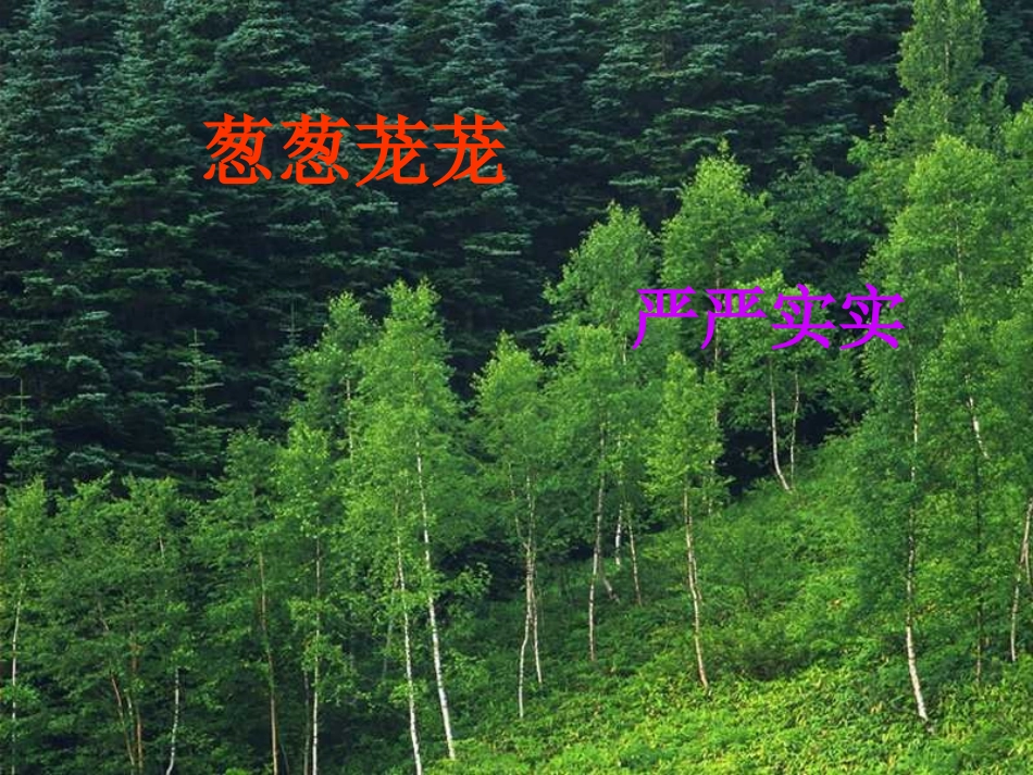 《美丽的小兴安岭》PPT课件(西师大版小学语文三年级下册课件)_第3页