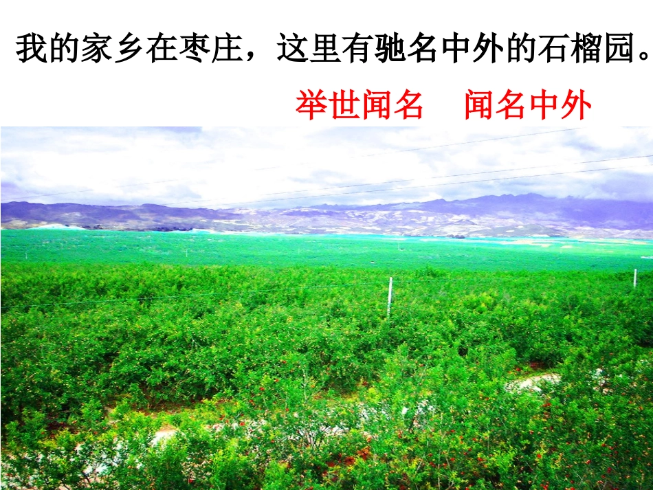 三年级语文上册第五组3石榴第一课时课件_第3页