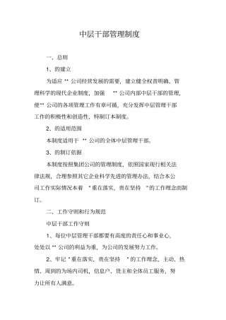 中层干部管理制度