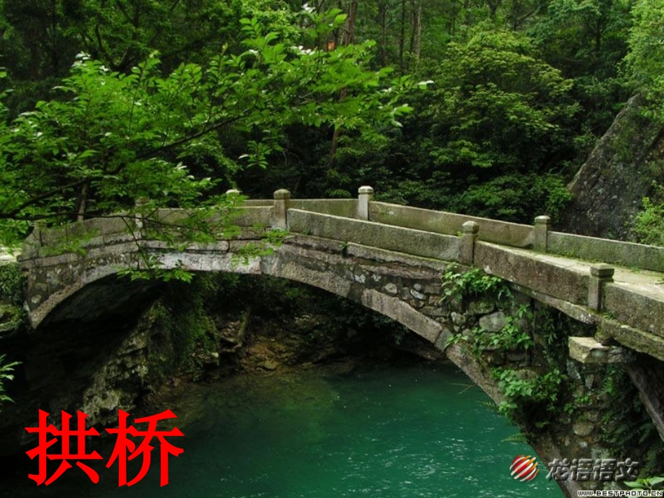 《桥》公开课课件_第1页