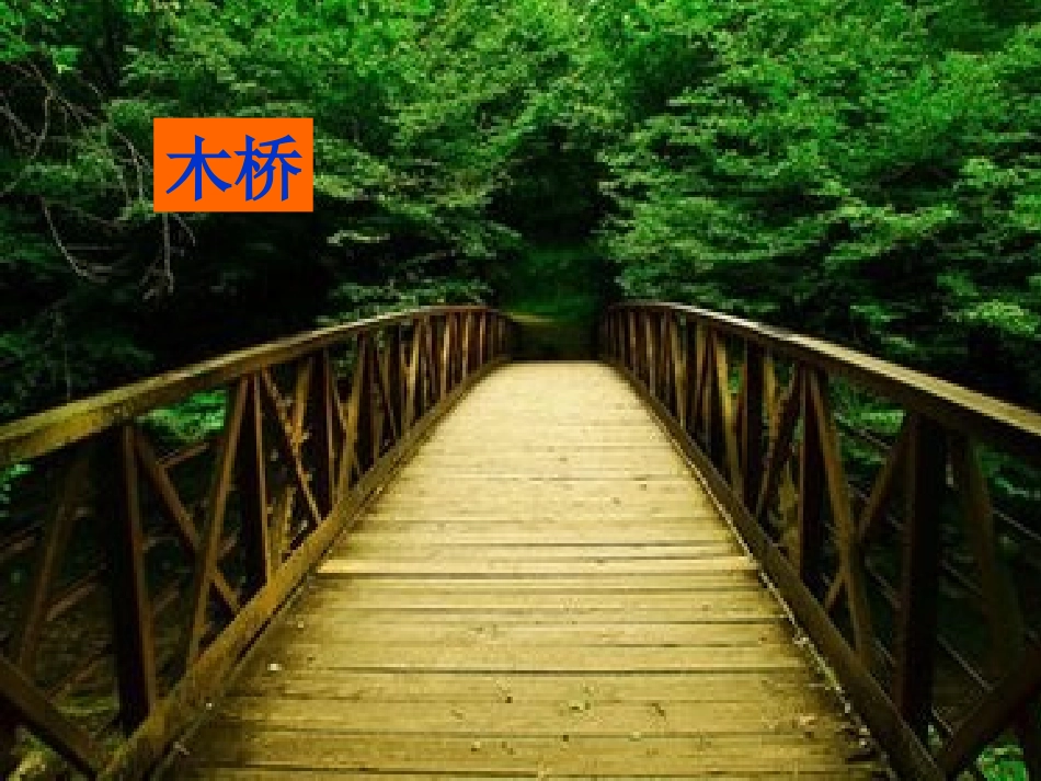 s版四年级上册《皮巧根桥》PPT_第2页