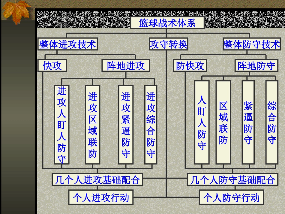 篮球战术体系_第1页