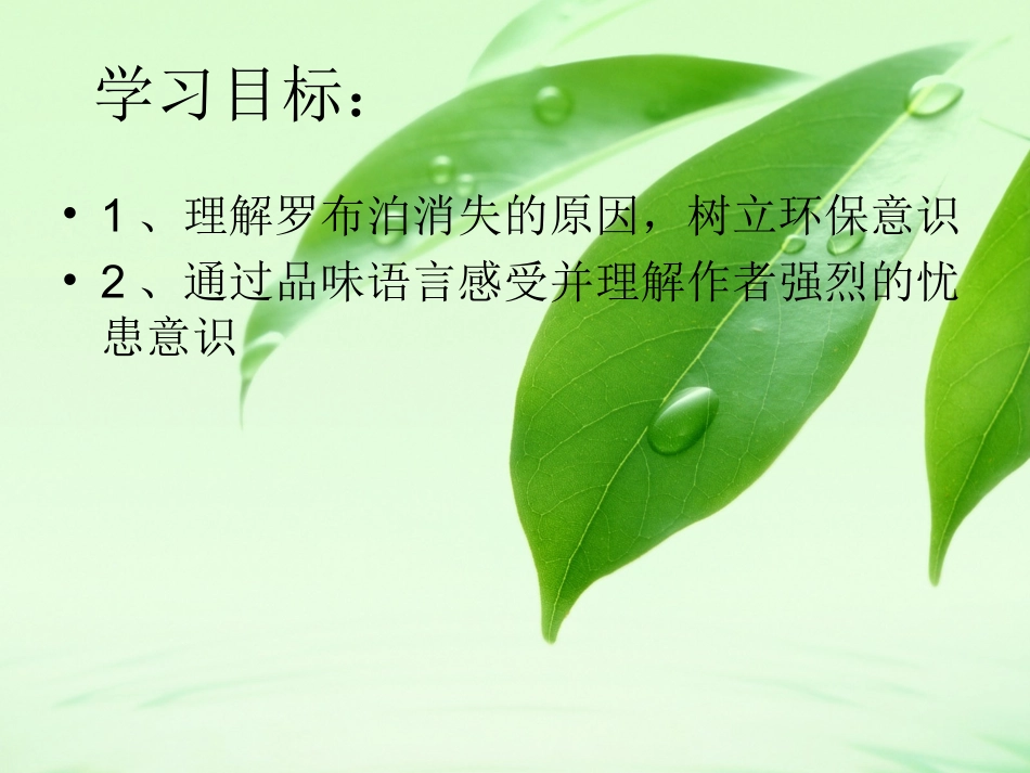 罗布泊消逝的仙湖_第3页
