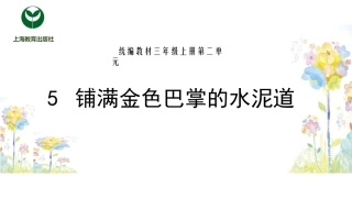 5.铺满金色巴掌的水泥道