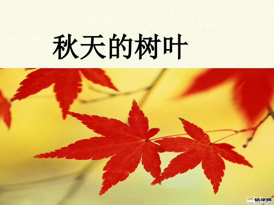 习作：秋天的树叶四新在_第1页