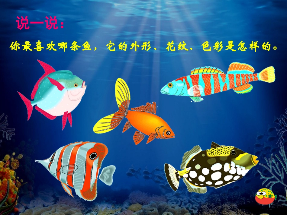 17 谁画的鱼最大_第3页