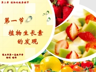 《植物生长素的发现》课件