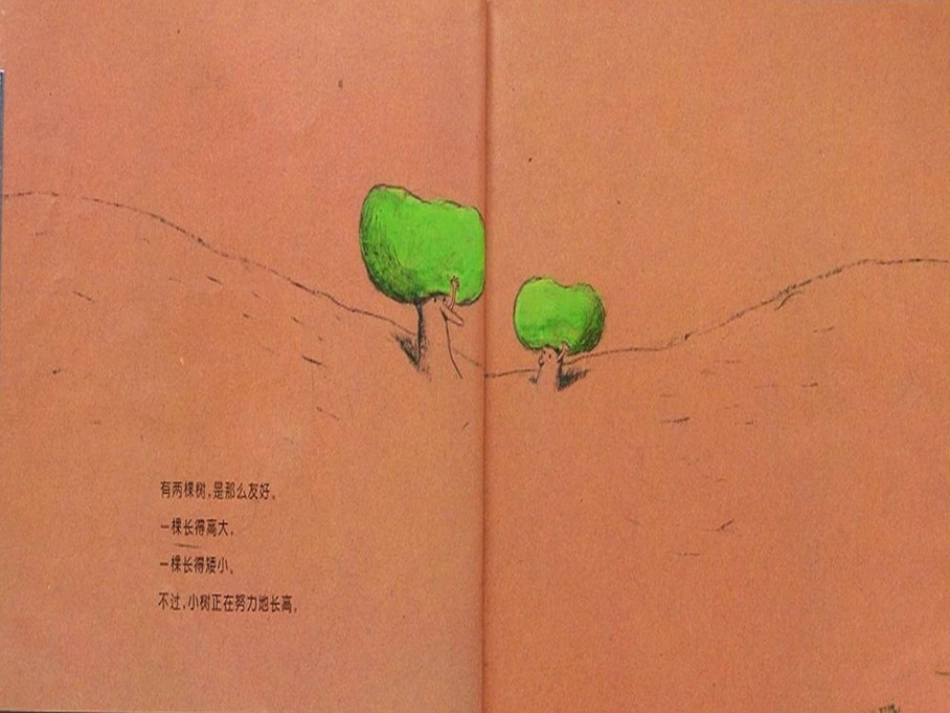 《两棵树》绘本故事PPT课件_第2页