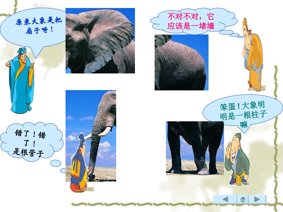 陶丹玲观察物体_第3页