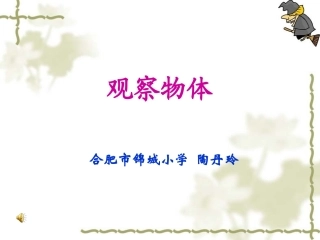 陶丹玲观察物体