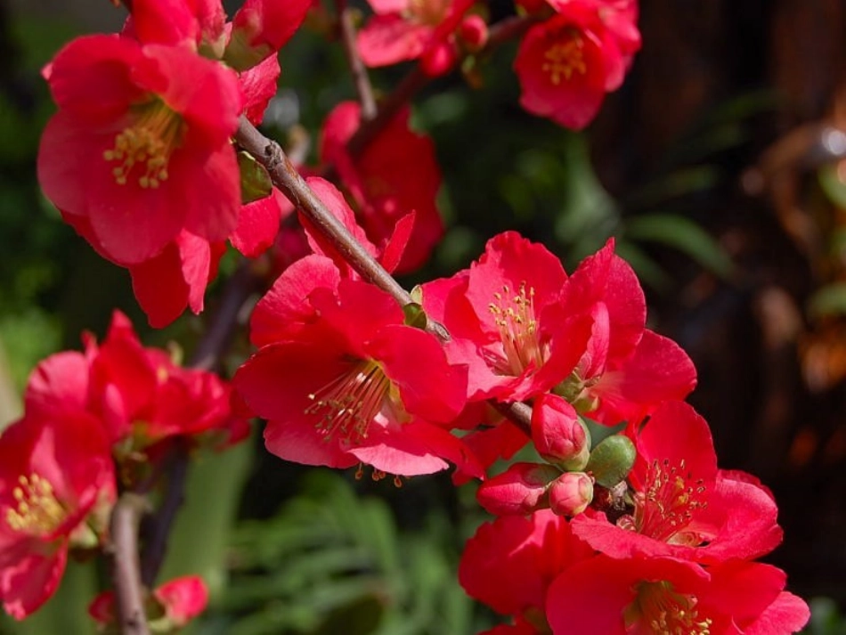 春到梅花山（第一课时）_第3页