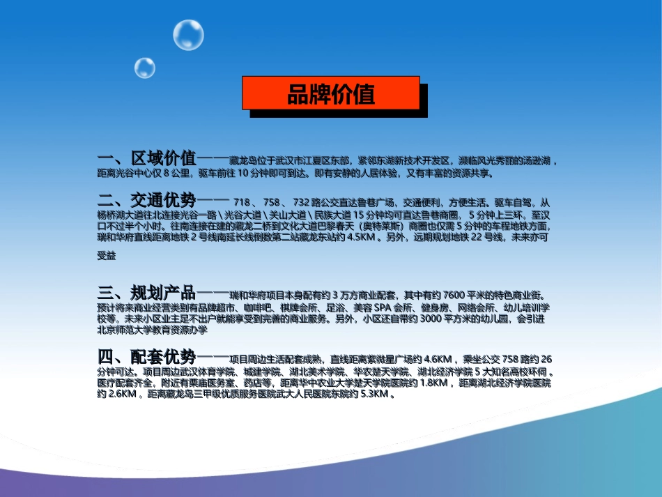 2017房地产开盘策划方案_第2页