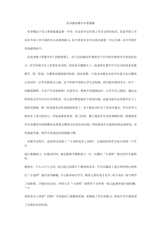 武术操英雄少年看课稿