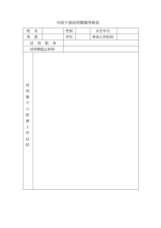中层干部试用期满考核
