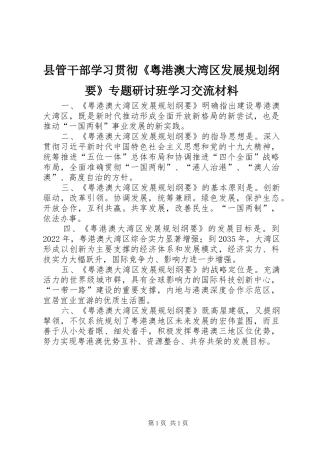 县管干部学习贯彻《粤港澳大湾区发展规划纲要》专题研讨班学习交流材料