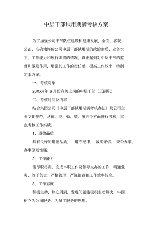 中层干部试用期满考核方案
