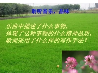 借物喻人（群文