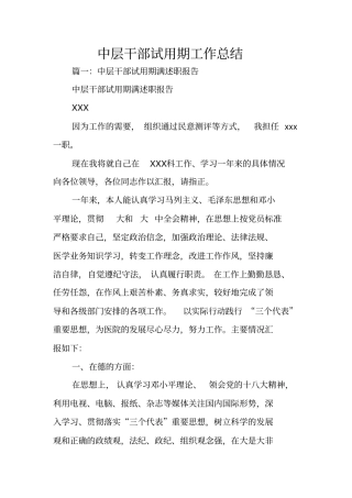 中层干部试用期工作总结