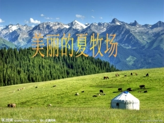 美丽的夏牧场