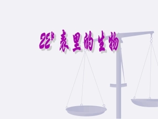 22《表里的生物》课件