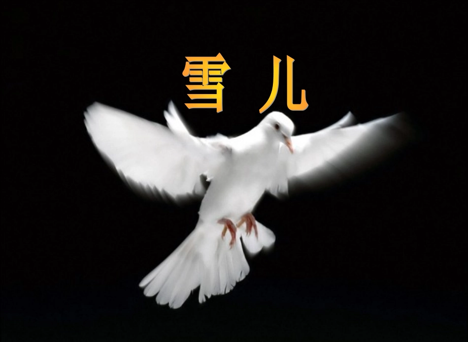 三_下_5《雪儿》课件_第1页