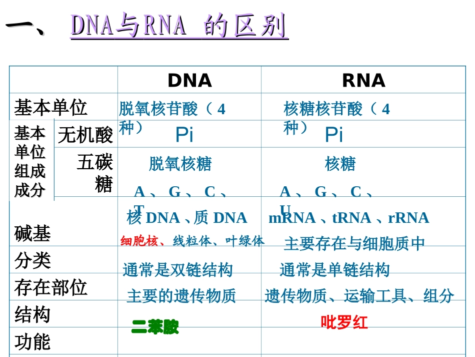 一轮复习---基因的表达_第2页