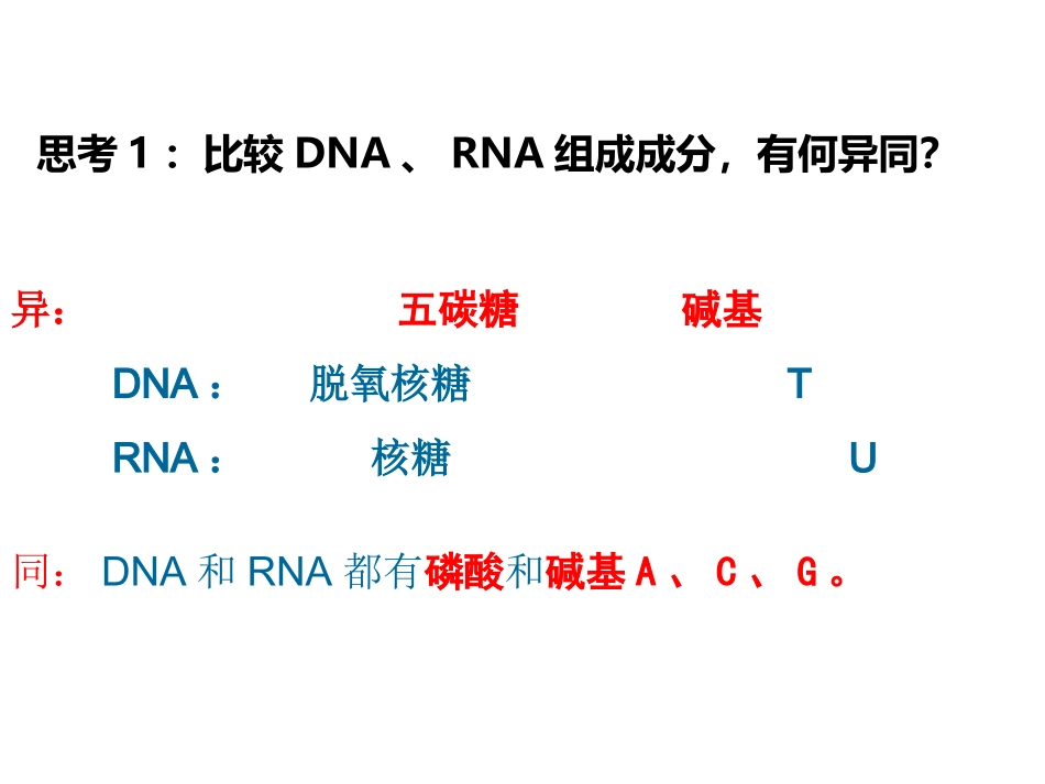一轮复习---基因的表达_第3页
