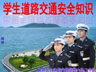 小学生道路交通安全知识讲座