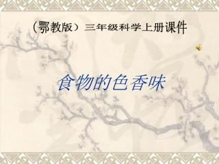 《食物的色香味》课件