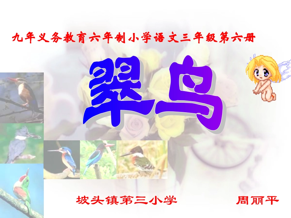 翠鸟课件()_第1页