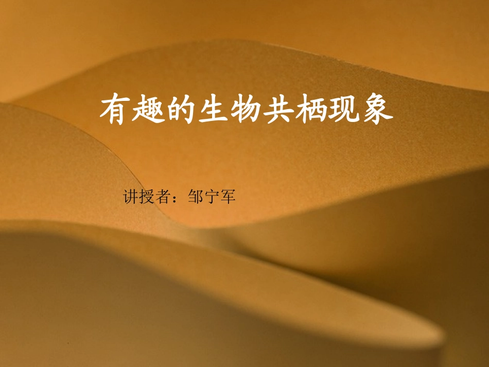 有趣的生物共栖现象_第1页