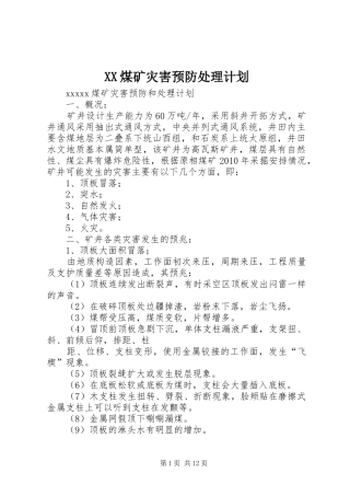 XX煤矿灾害预防处理计划