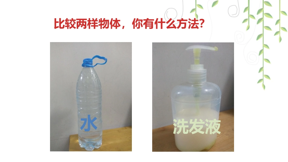 《观察一瓶水》教学课件_第3页