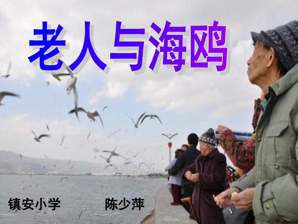 老人与海鸥课件_第1页