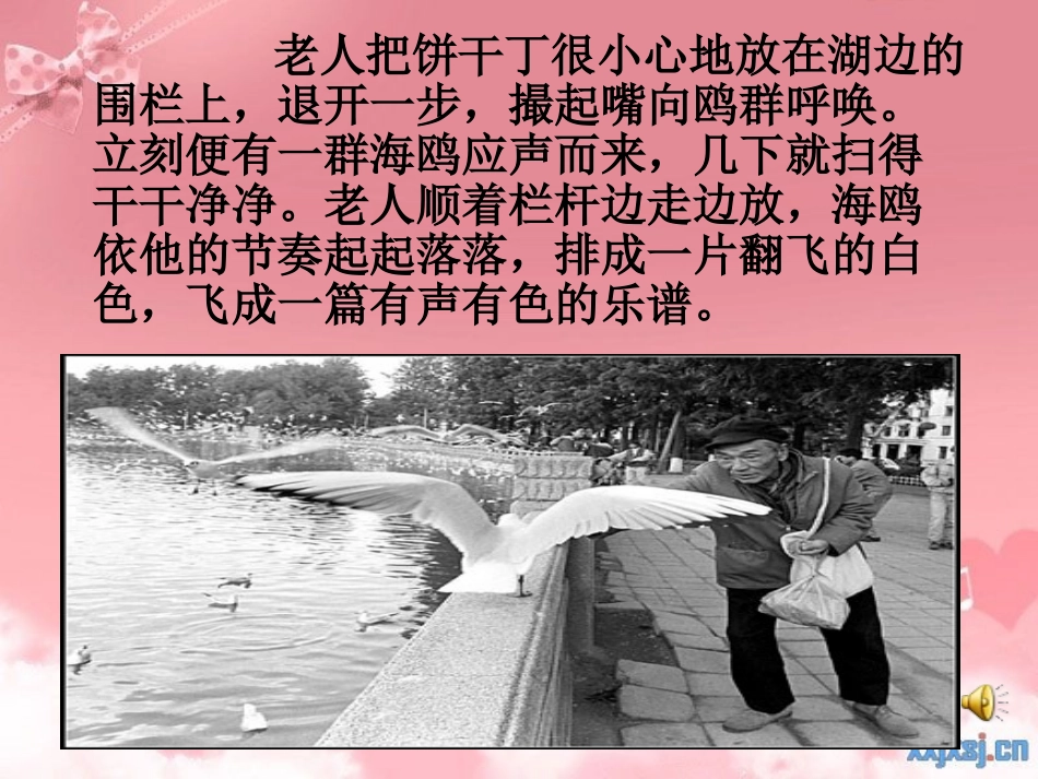 老人与海鸥课件_第2页