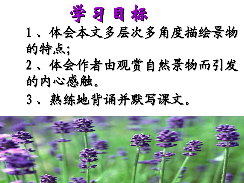 2017部编  《与朱元思书》课堂使用课件_第3页