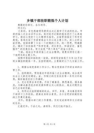 乡镇干部挂职锻炼个人计划