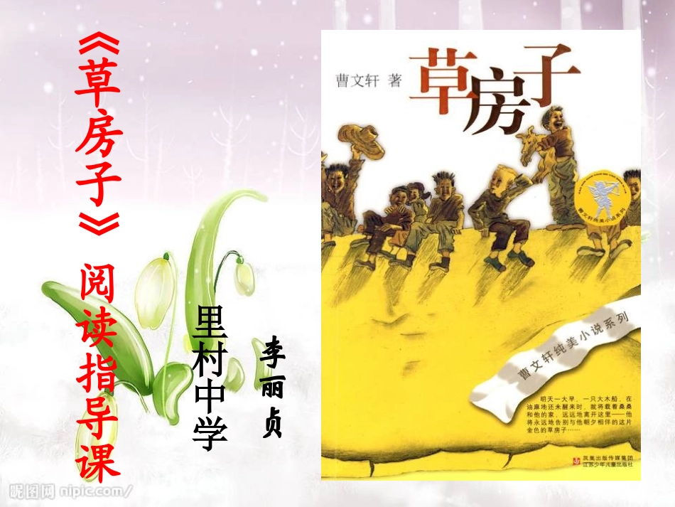 《草房子》导读_第1页