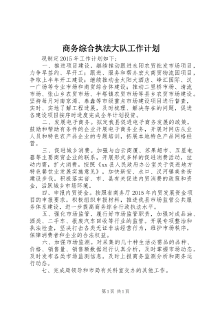 商务综合执法大队工作计划