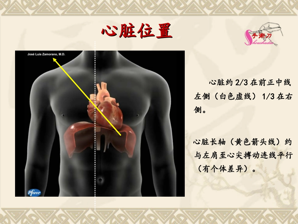 心脏超声常规切面及手法操作_第2页
