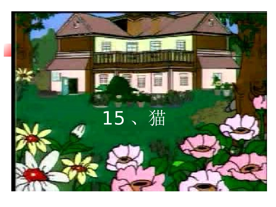 《猫》教学课件_第1页