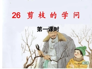 剪枝的学问全课时