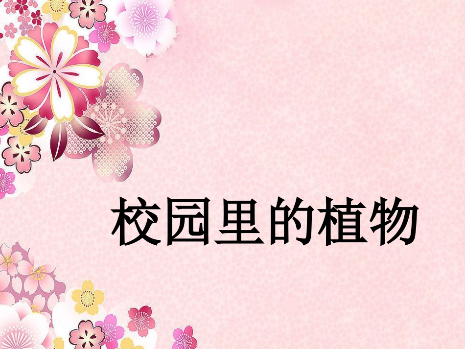 三年级科学上册 校园里的植物_第1页