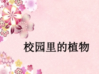 三年级科学上册 校园里的植物