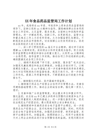 XX年食品药品监管局工作计划