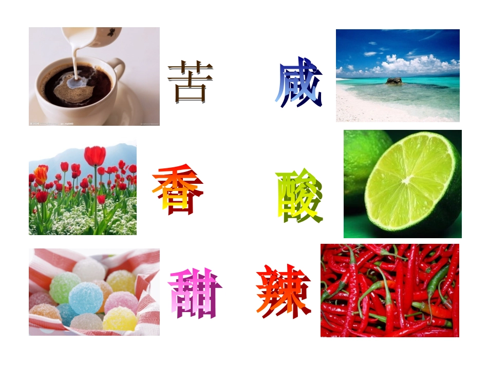 画味觉画嗅觉教学课件_第3页
