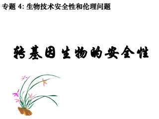 转基因生物的安全性(公开课)