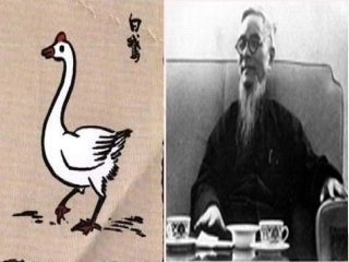 《白鹅》PPT课件